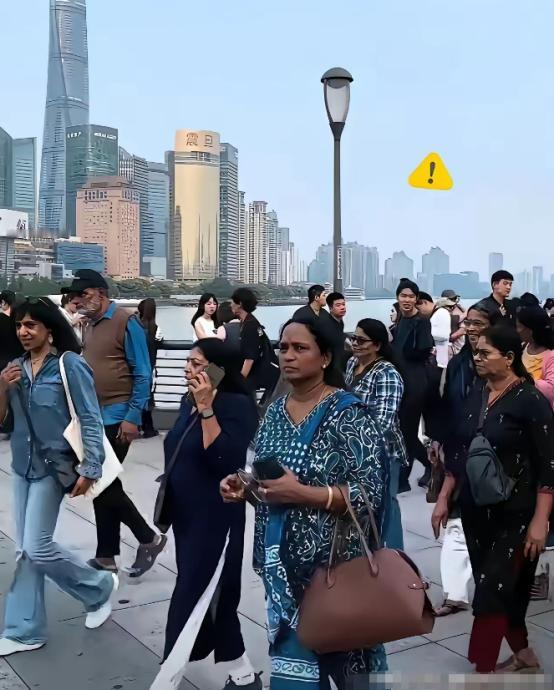国家的百年大计，绝不能毁在一群蛀虫手里！现在只要一提"国际化"、"与国际接轨"，