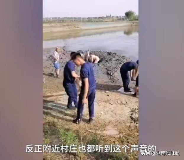 太揪心！鱼塘被无人机喷药，满塘鱼全死光，当地回应来了
 
一年的收成全没了，养殖