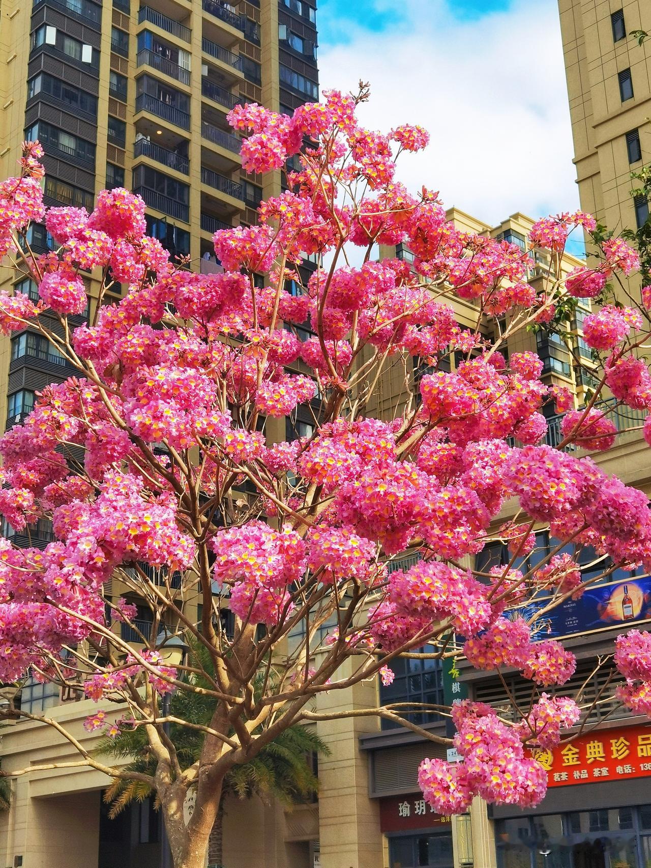 人生有两大悲剧：一是得不到心爱的东西，二是得到了心爱的东西。这句充满思辨的话，道