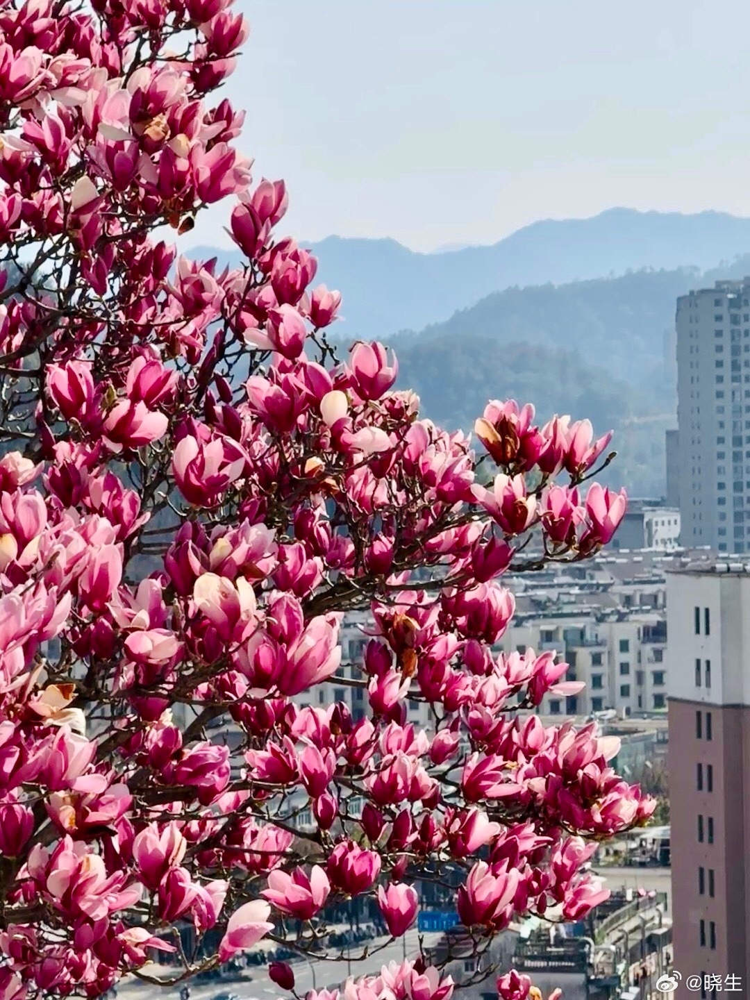 很多人以为被理解＝被共情，其实不完全是有些关系里，对方确实能听懂你的逻辑，甚至能