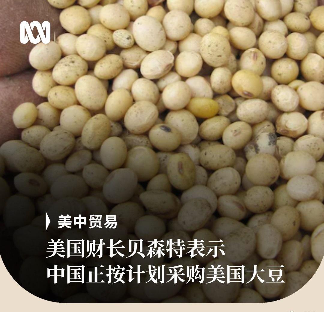 美国财长贝森特在接受CNBC采访时表示，中国购买美国大豆“完全按计划进行”。他还