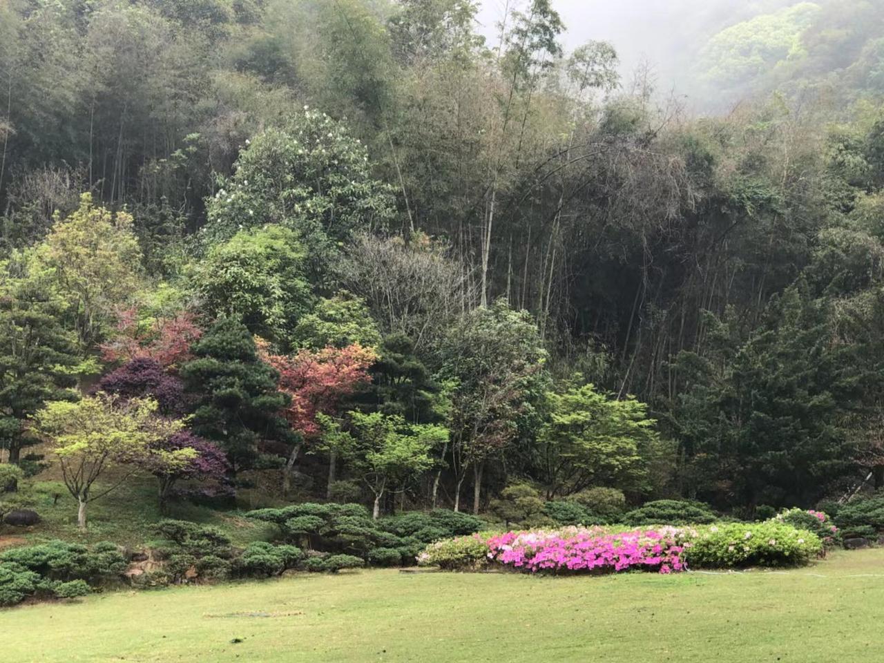 這段話很好：
昨天年輕那是年齡，
今天年輕那是心態，
天天年輕那是快樂，
永遠年