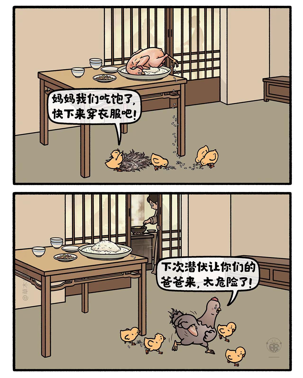 鸡妈妈潜伏。嫦娥打工兔 第九〇五集