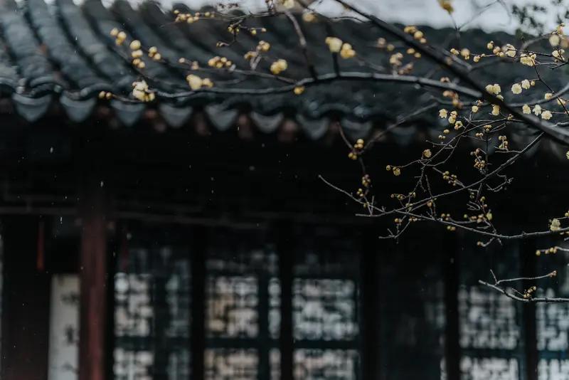 上联：踏雪寻梅，傲骨冰心香暗度；
下联：吟风赏竹，高节虚襟韵远扬。