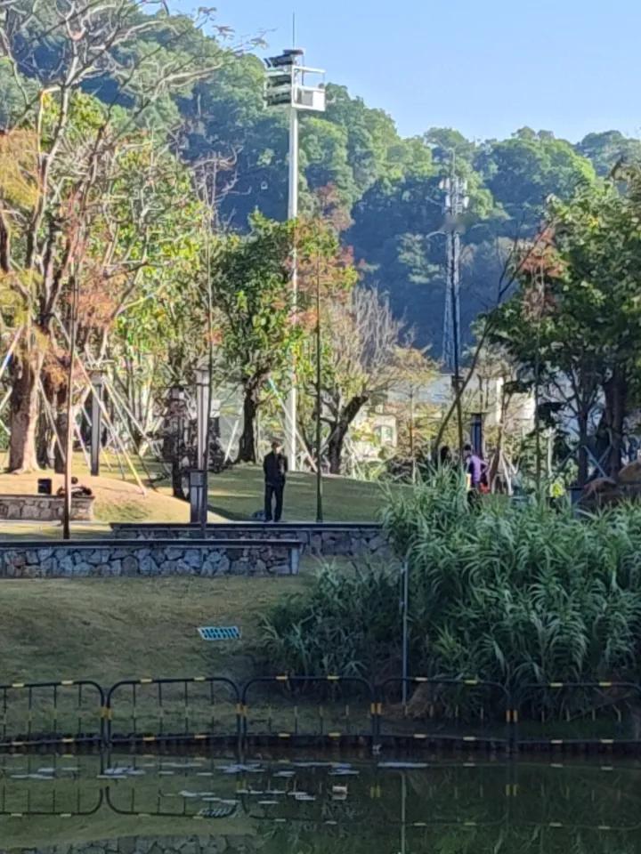 为啥很多中老年人迷恋广场舞？原因可不少。退休后生活易孤独，而广场舞是个社交好平台