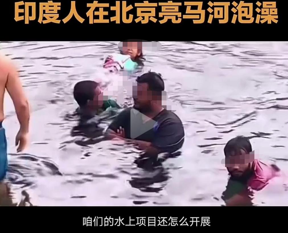 知道为什么不能要印度移民吗？这就是一群无法教化的野蛮人，从来不尊重别人家园的规矩