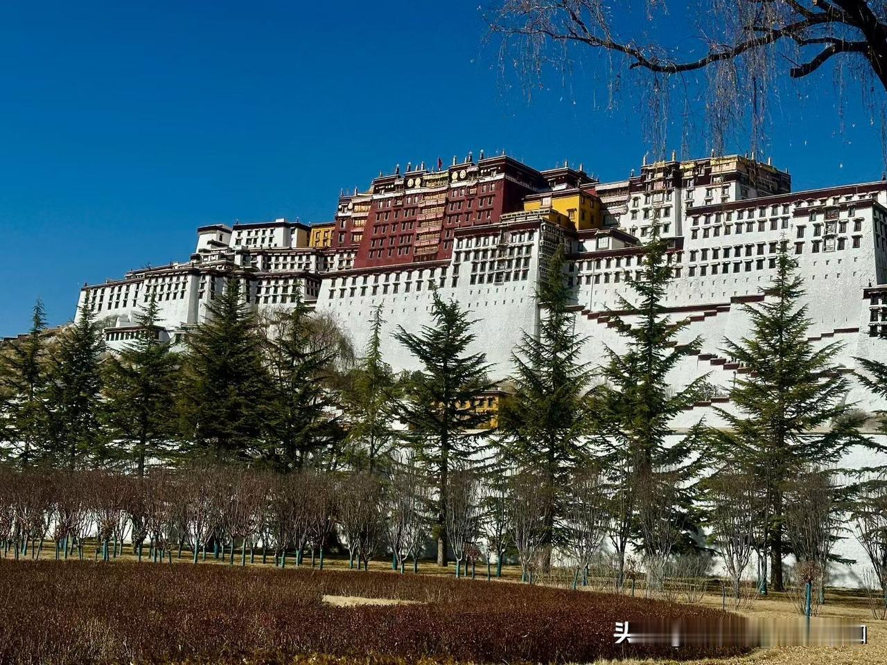 分享一张你最近相册里治愈的随手拍