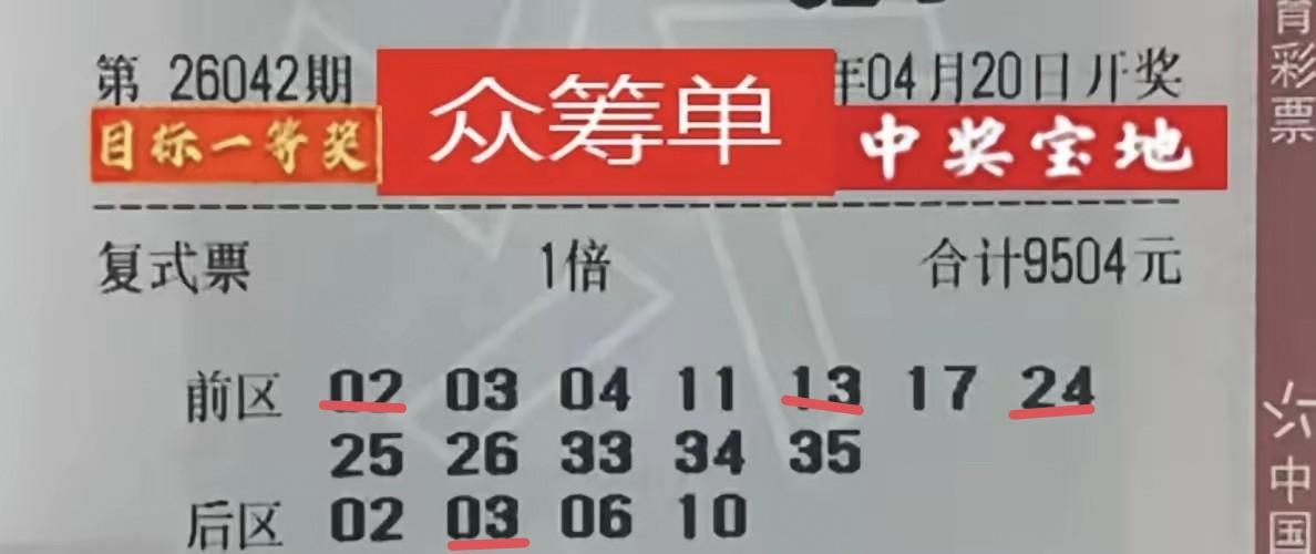 这是一张众筹的彩票，下注总金额达到了9504元，方式为12+4的复式大彩票，从彩