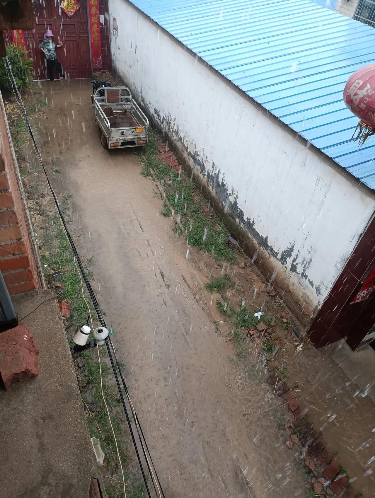 老家，终于下雨了。
   今天上午，我的老家，来自河南豫东平原黄河故道南边的一个
