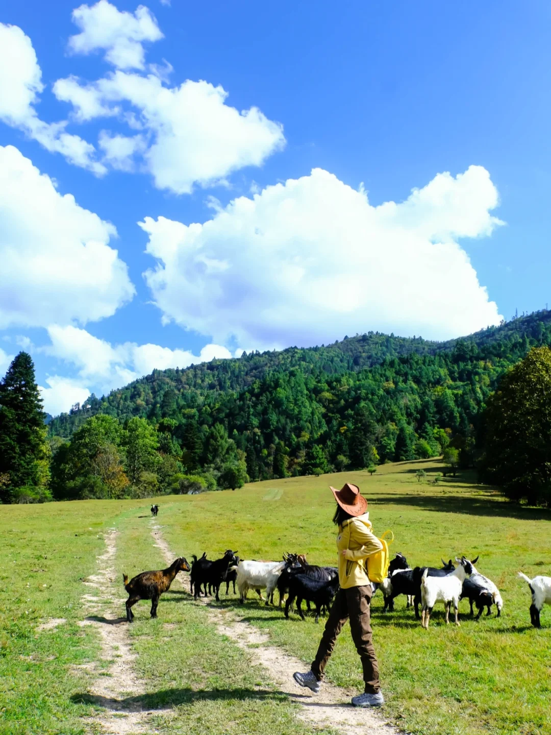 我以为新疆够美了，直到我去了趟云南怒江～