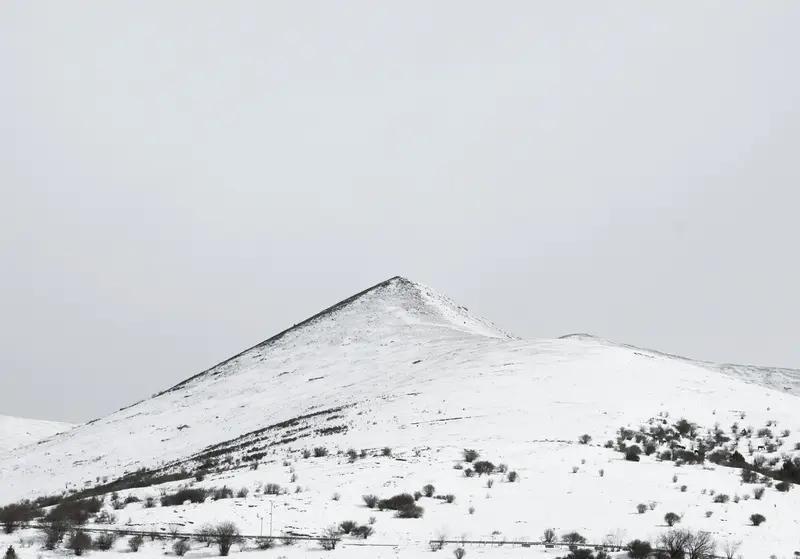 “好一似食尽鸟投林，落了片白茫茫大地真干净。”