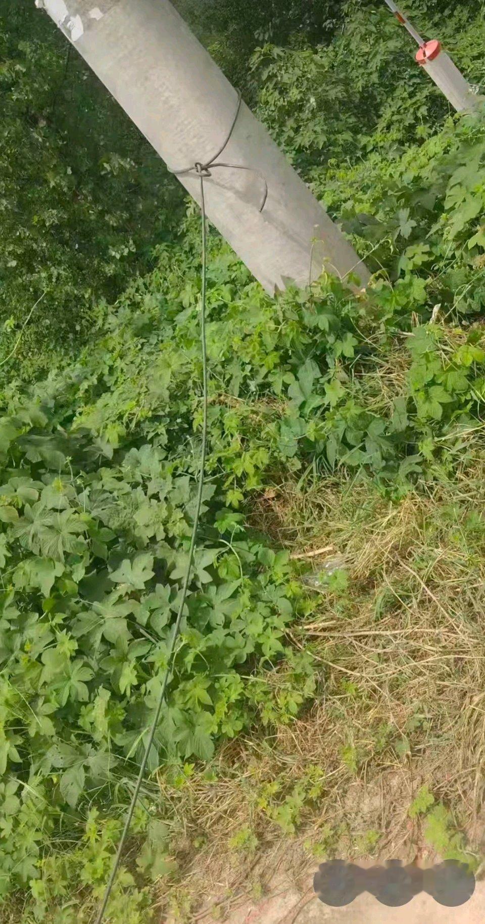 看到驻马店这起事故的通报，后背瞬间凉了半截。
45岁的女子赶集完和儿子各骑一辆电