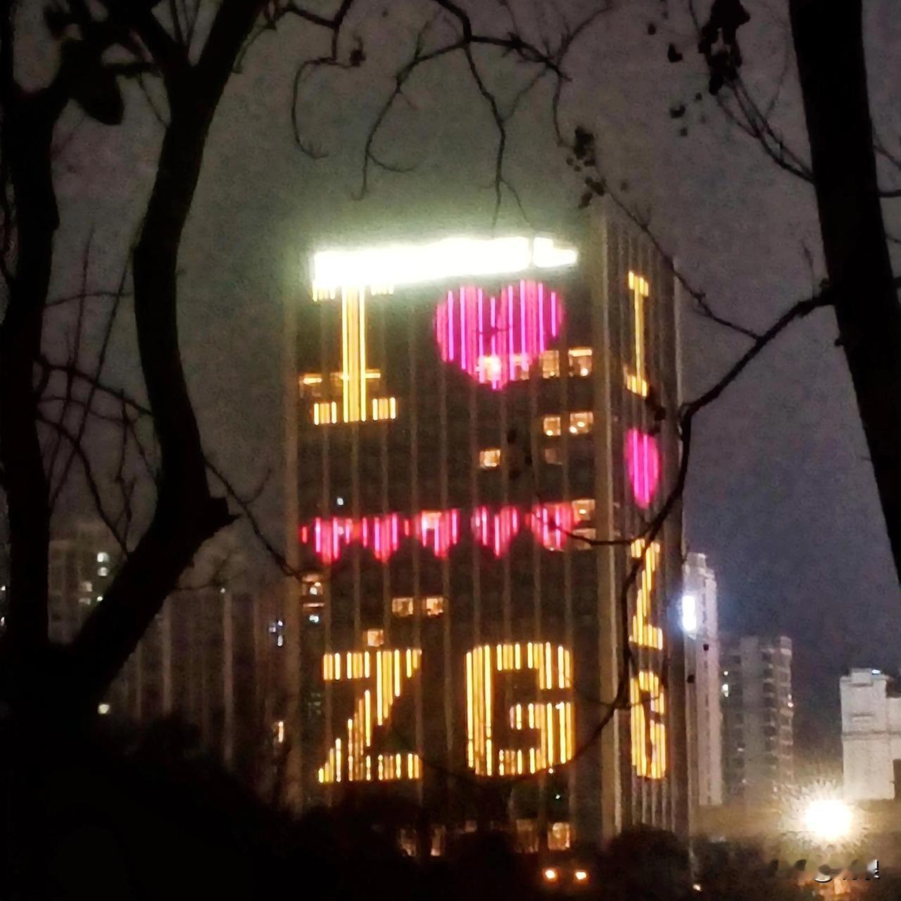 自贡的南湖公园畔夜景是巴适

华商美食城的一幢高楼循环闪耀着迷人的景观灯

“l