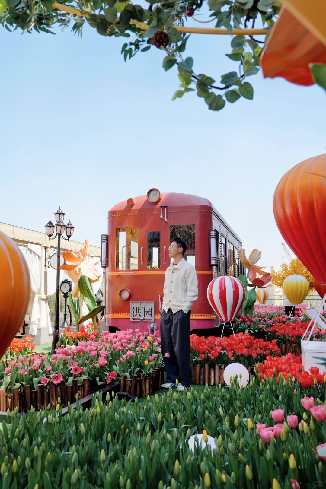 除了太子湾！这里郁金香也好拍到不行🌷