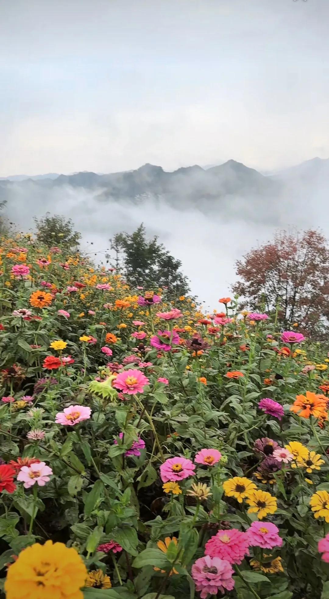夏日生活打卡季今日份清凉达成：自制了青提气泡水，冰块碰撞的声音像在唱歌；阳台的茉