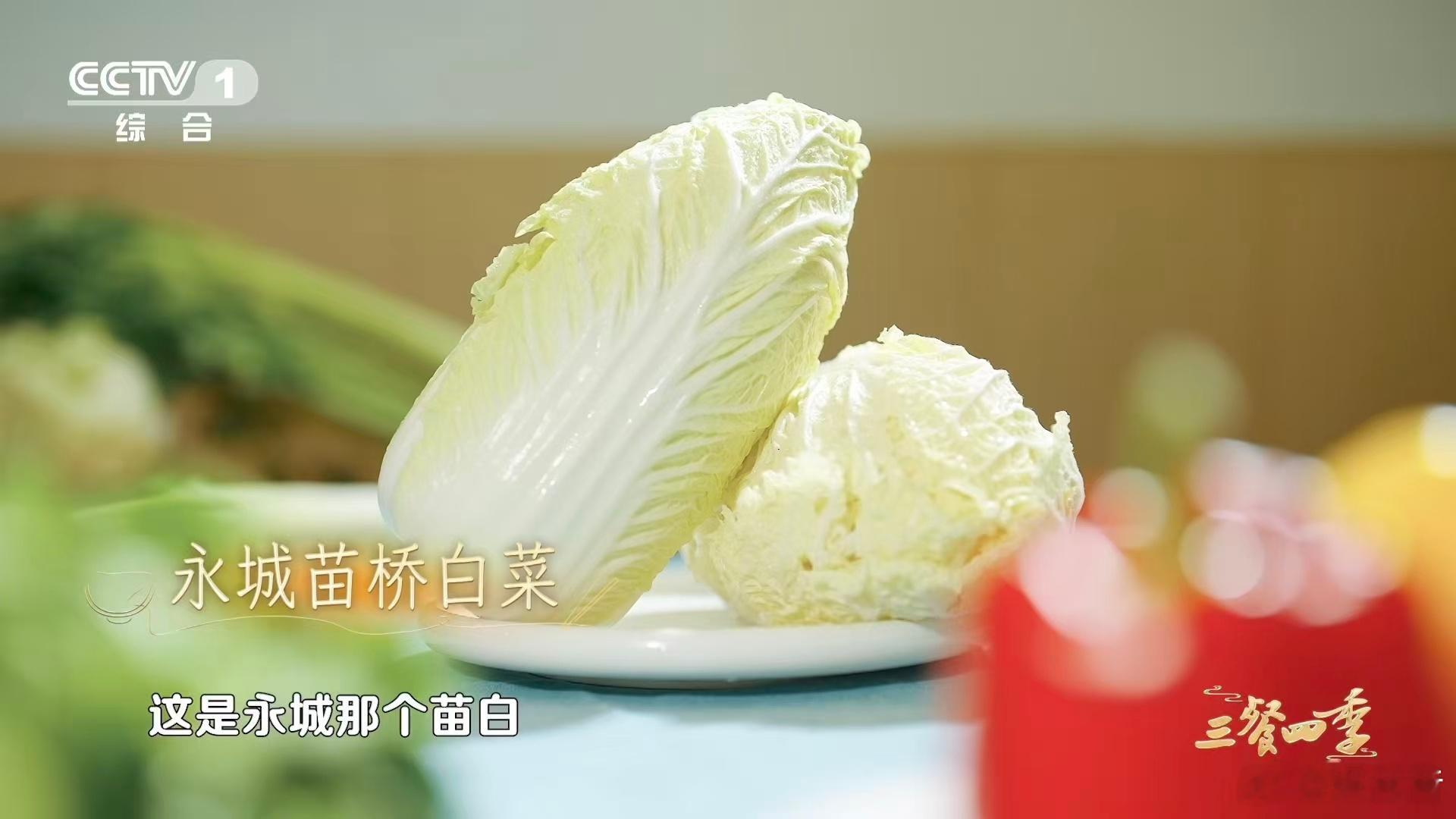 河南有种白菜甜到能当水果吃 永城苗桥白菜不一般！独特生长条件攒足糖分、果胶和氨基