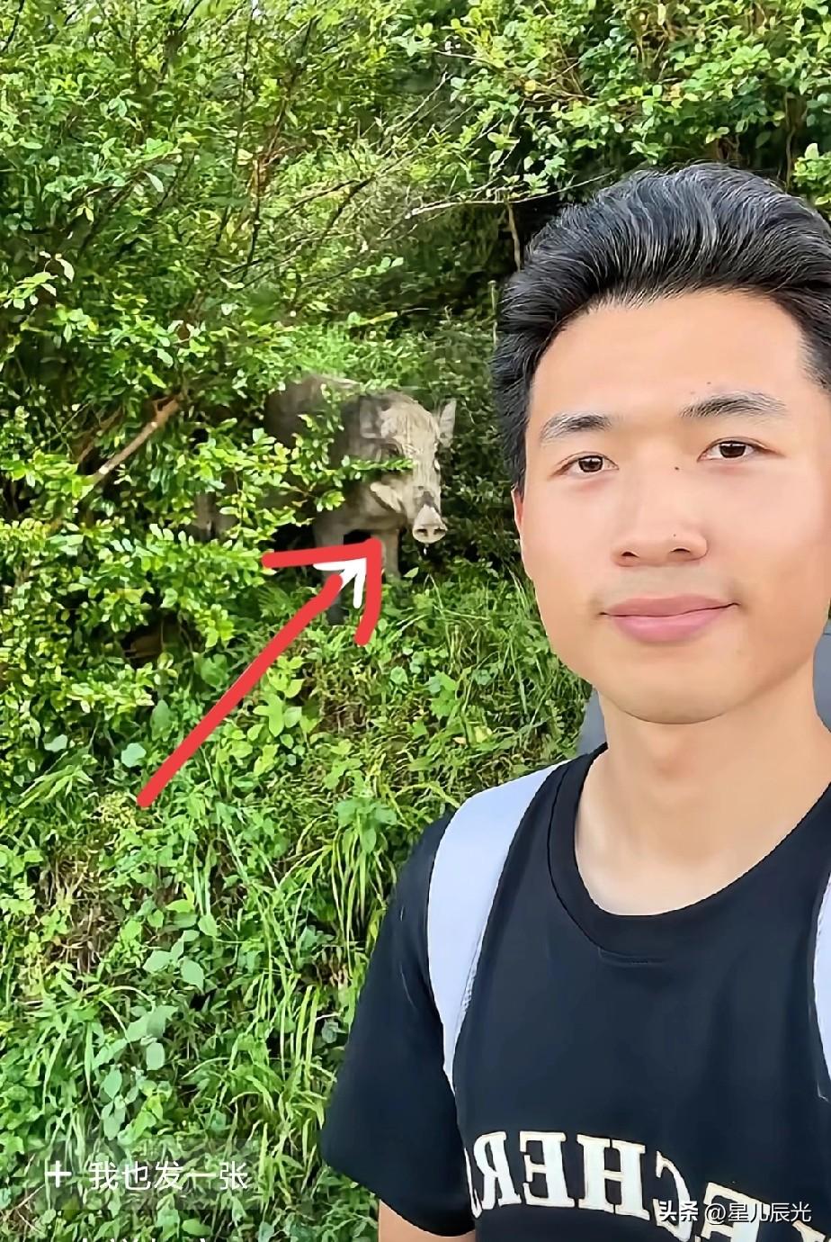 谢浩男战友海军太勇敢了，他爬山身后还出现一只野猪，但他却丝毫没有害怕。海军回复网