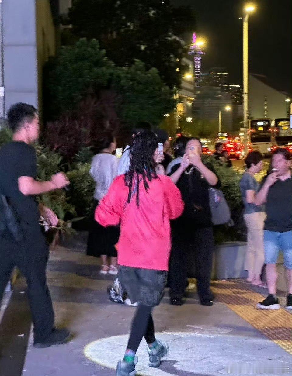 张柏芝夜游维港维港夜景太美，却美不过张柏芝姐弟的真挚感情！爬山时分享趣事，夜游时
