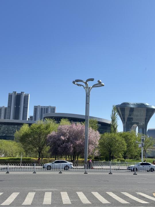 乌鲁木齐赏花citywalk路线！！专属春天的快乐