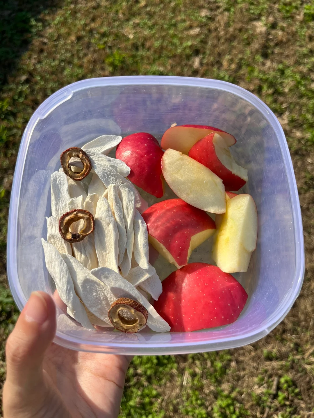 吃了半年的怀山药，孩子身体变化超明显❗️❗️