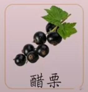 采桑子57·醋栗
       玄珠缀作玲珑串，颗颗凝光，翠叶相将，疑是青娥夜拾