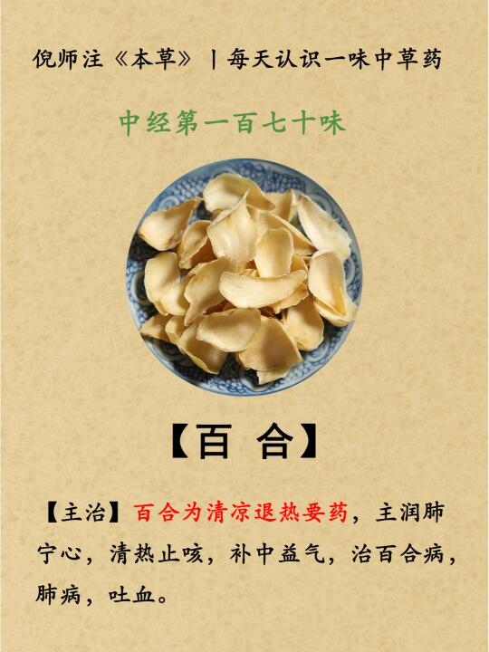 清凉退热丨中经第170-百合