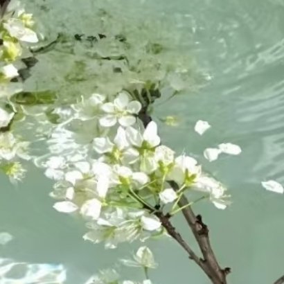 000000人生就像一场马拉松，不在乎瞬间的爆发，而在于途中的坚持。即便跑得气喘