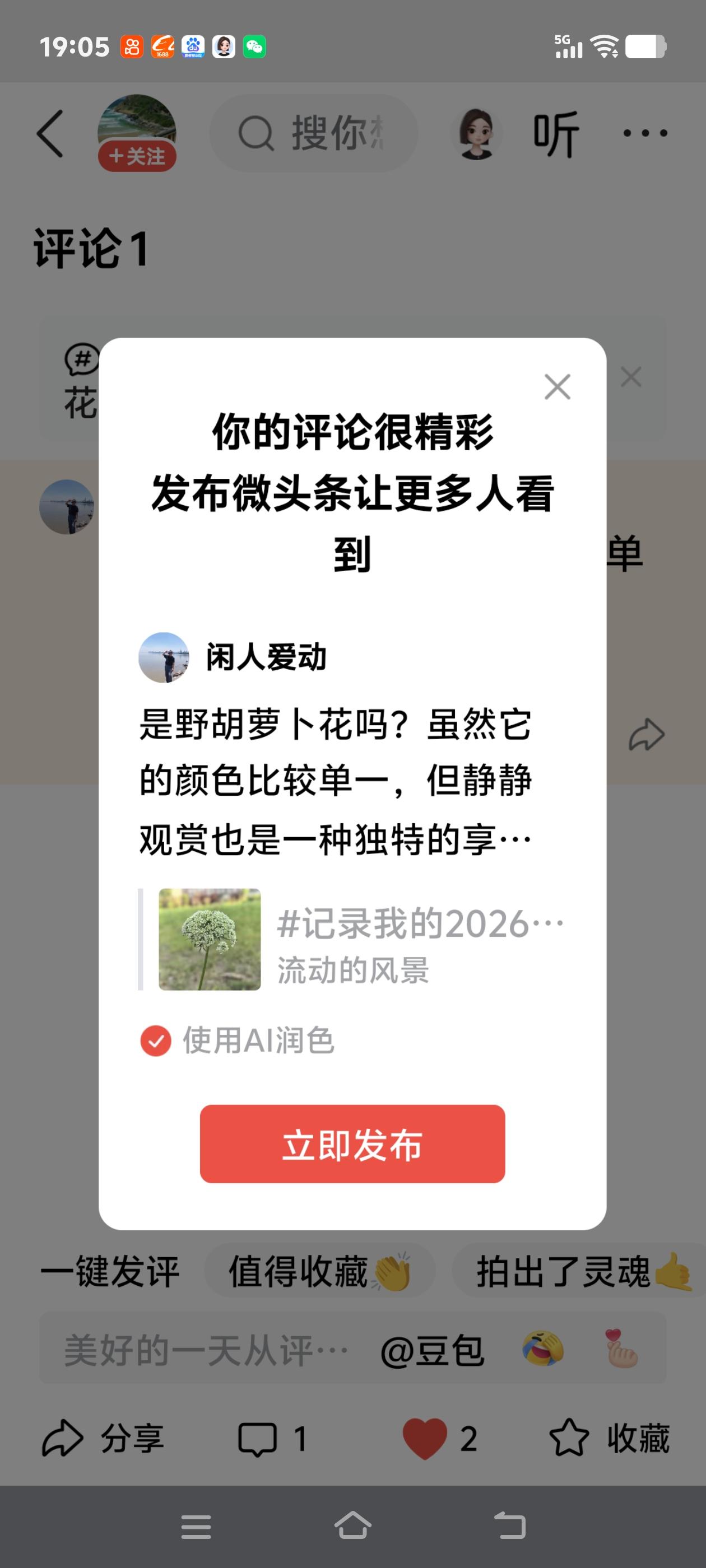 是野胡萝卜花吗？虽然它的颜色比较单一，但静静观赏也是一种独特的享受呢[捂脸]