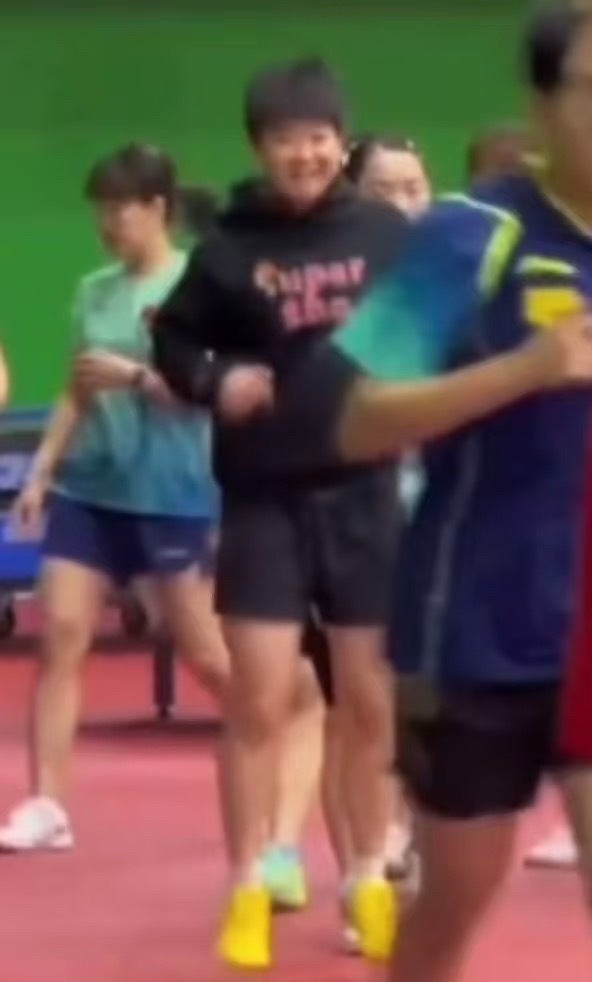 圆脸猫观察日记 此等萌物呢？ 