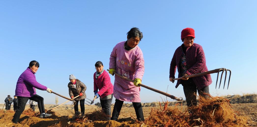 离了大谱！山东德州，一村民无意间在网上发现，自己和周边5个村的土地早在两年前就被