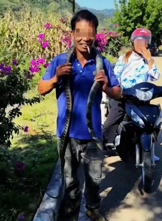 “太惨了！”贵州，男子收割稻谷，发现有条蛇，他把蛇抓住了，弟弟看到了，以为是乌梢