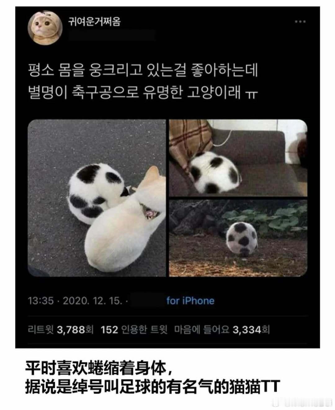 [可爱] 