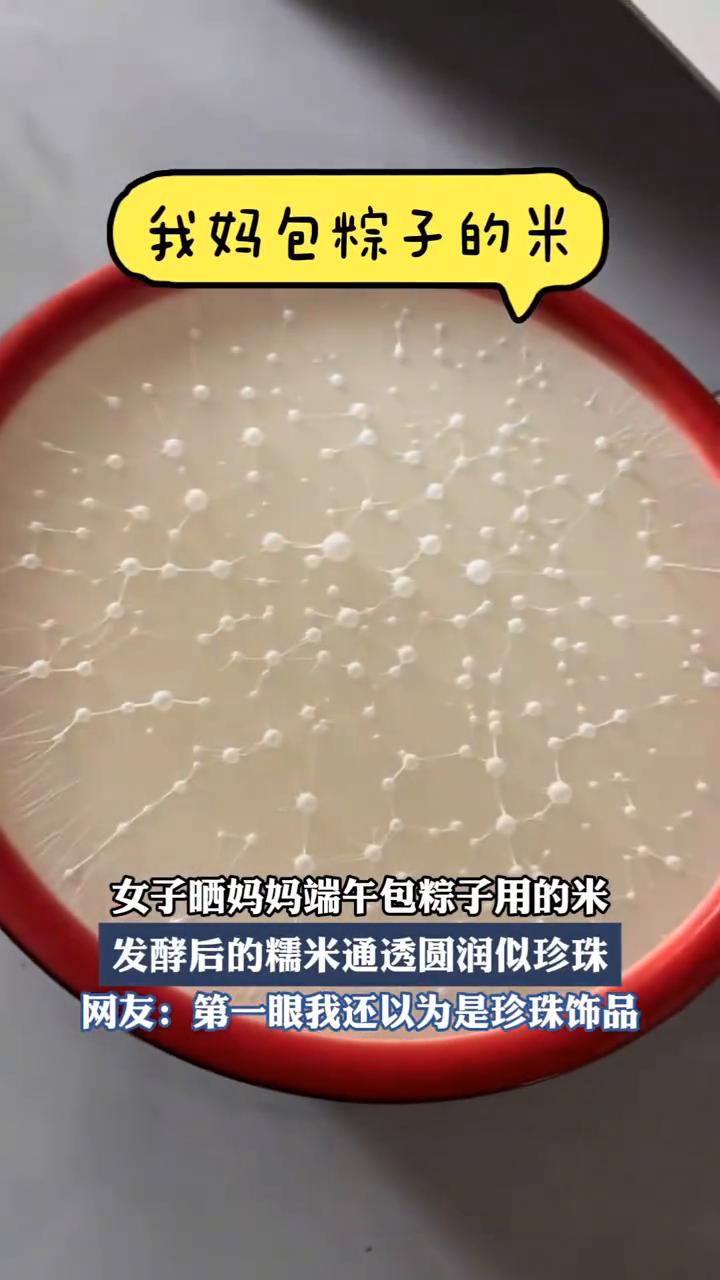 我妈包粽子的米。
女子晒妈妈端午包粽子用的米，发酵后的糯米通透圆润似珍珠。网友：