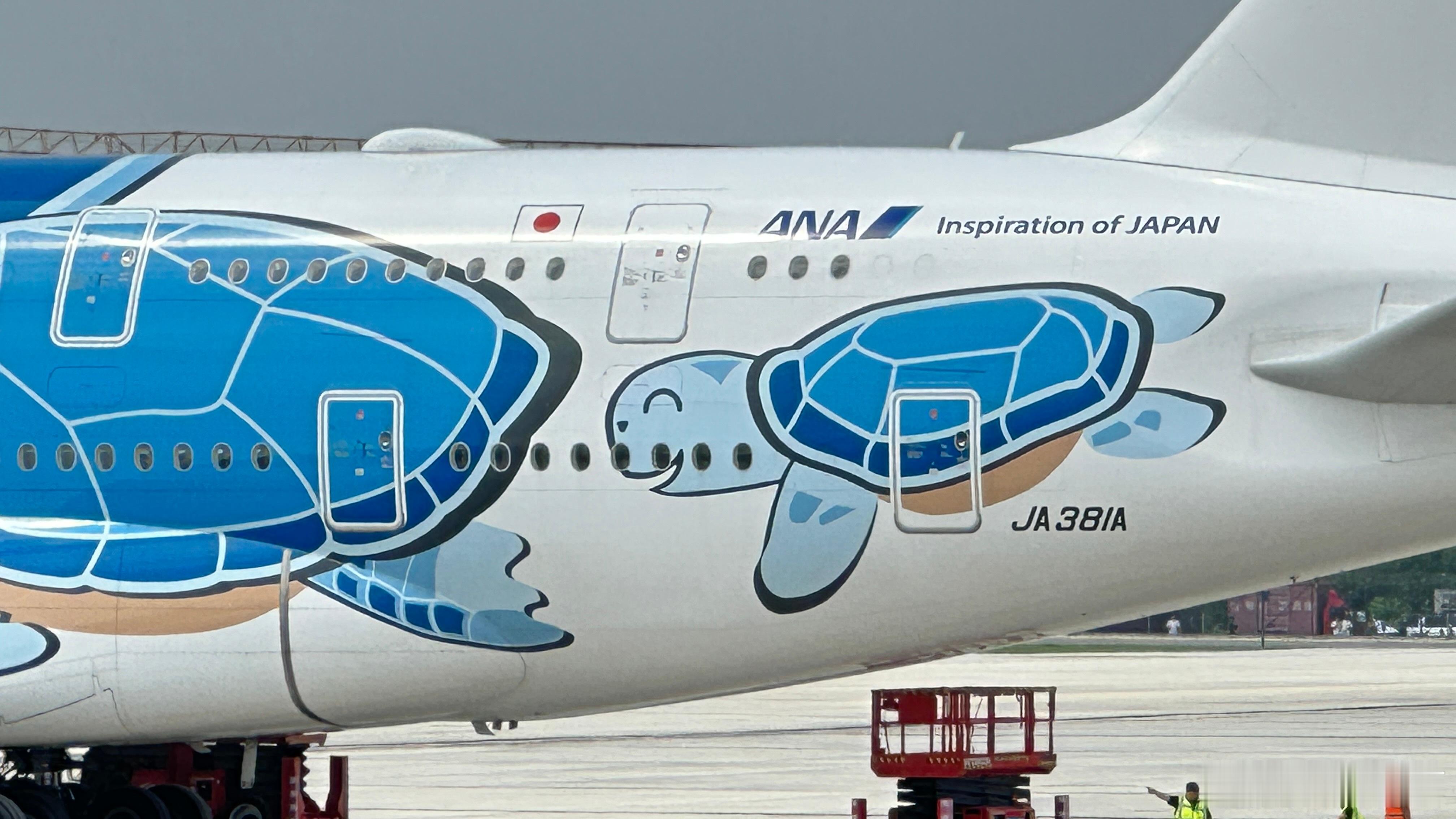 太久没有见到A380，大海龟太萌了！成都全空客全生命周期管理，已经来了三架大家伙