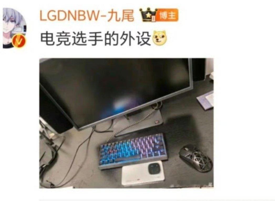 尾尾诺诺才是真？[doge][doge]九尾和一诺用同款电竞外设！大瓜大瓜！一诺