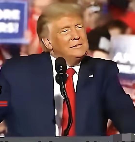 特郎普这一下子脸都绿了吧！他所领导的共和党在三个重要州州长选举中落败。从严格意义