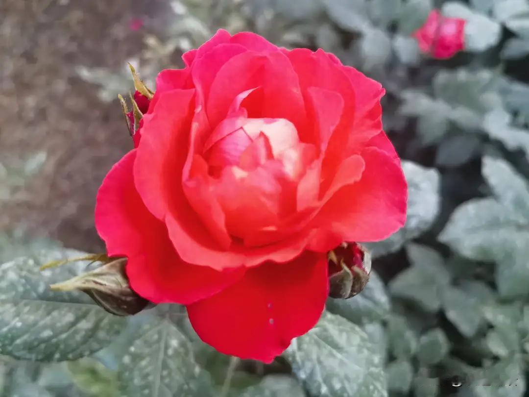 性格会决定人生吗性格会深刻影响人生轨迹，但不是唯一的决定因素。乐观坚韧的人更易抓