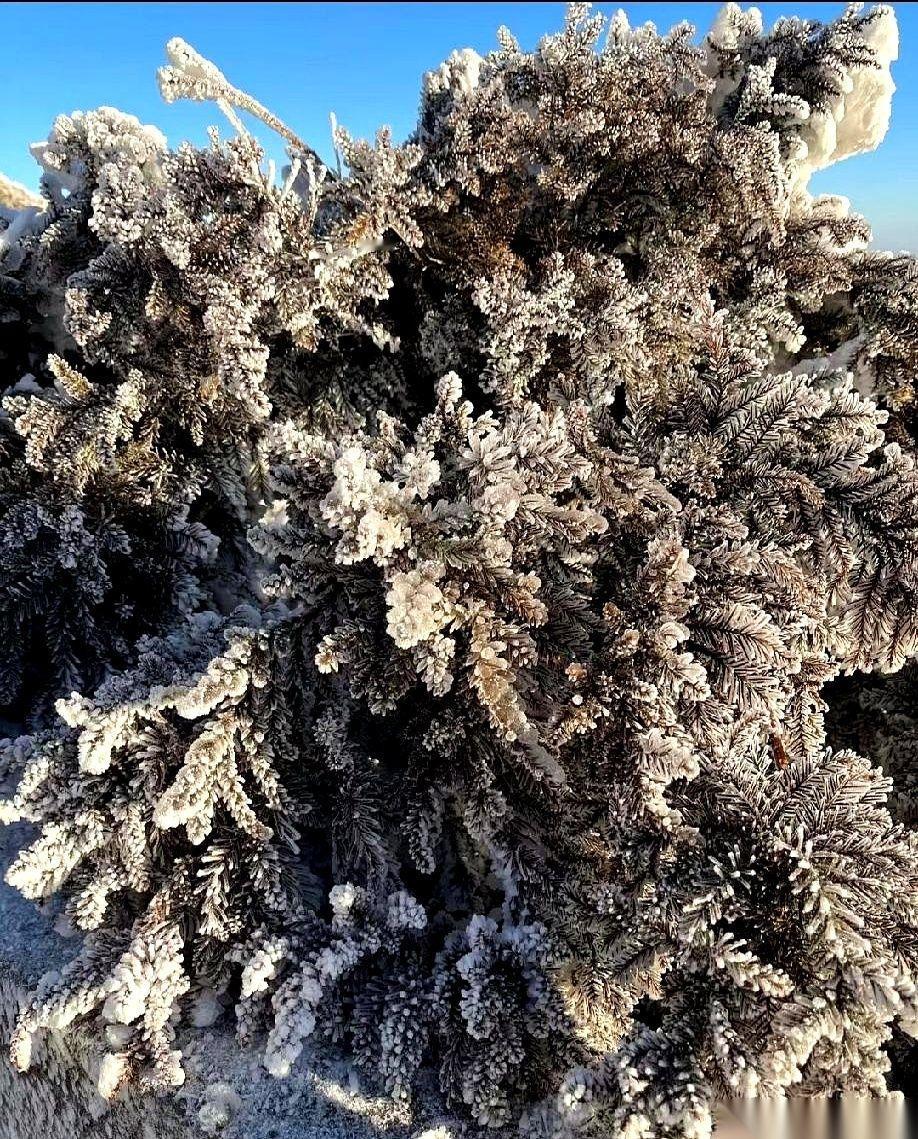 同事把杯子往桌上重重一放，“我离了。”
办公室里敲键盘的声音，好像瞬间停了两秒。