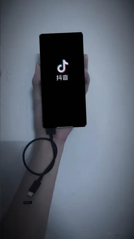 一、能提现的几类收入
 
1. 中视频播放收益、任务现金：结算完进抖音钱包，绑银