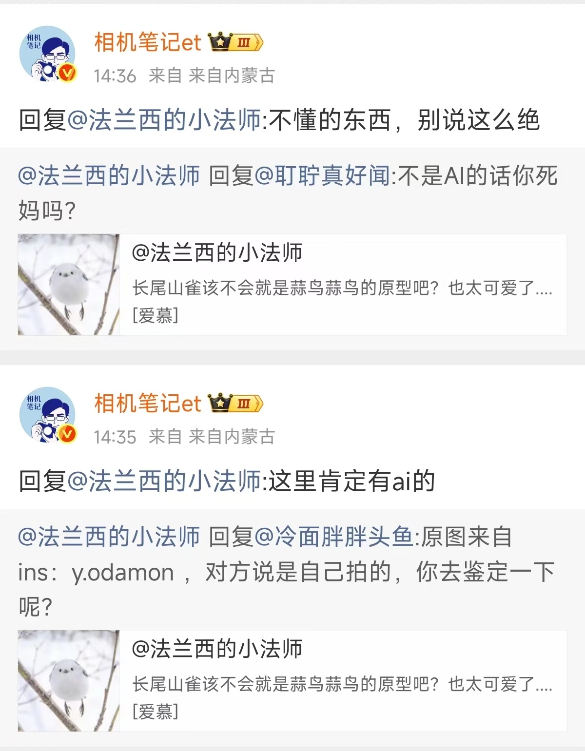 山雀，鸟，不会像人一样歪着头躺在树枝上，所以这组图很明显是有AI的。当然现在被A