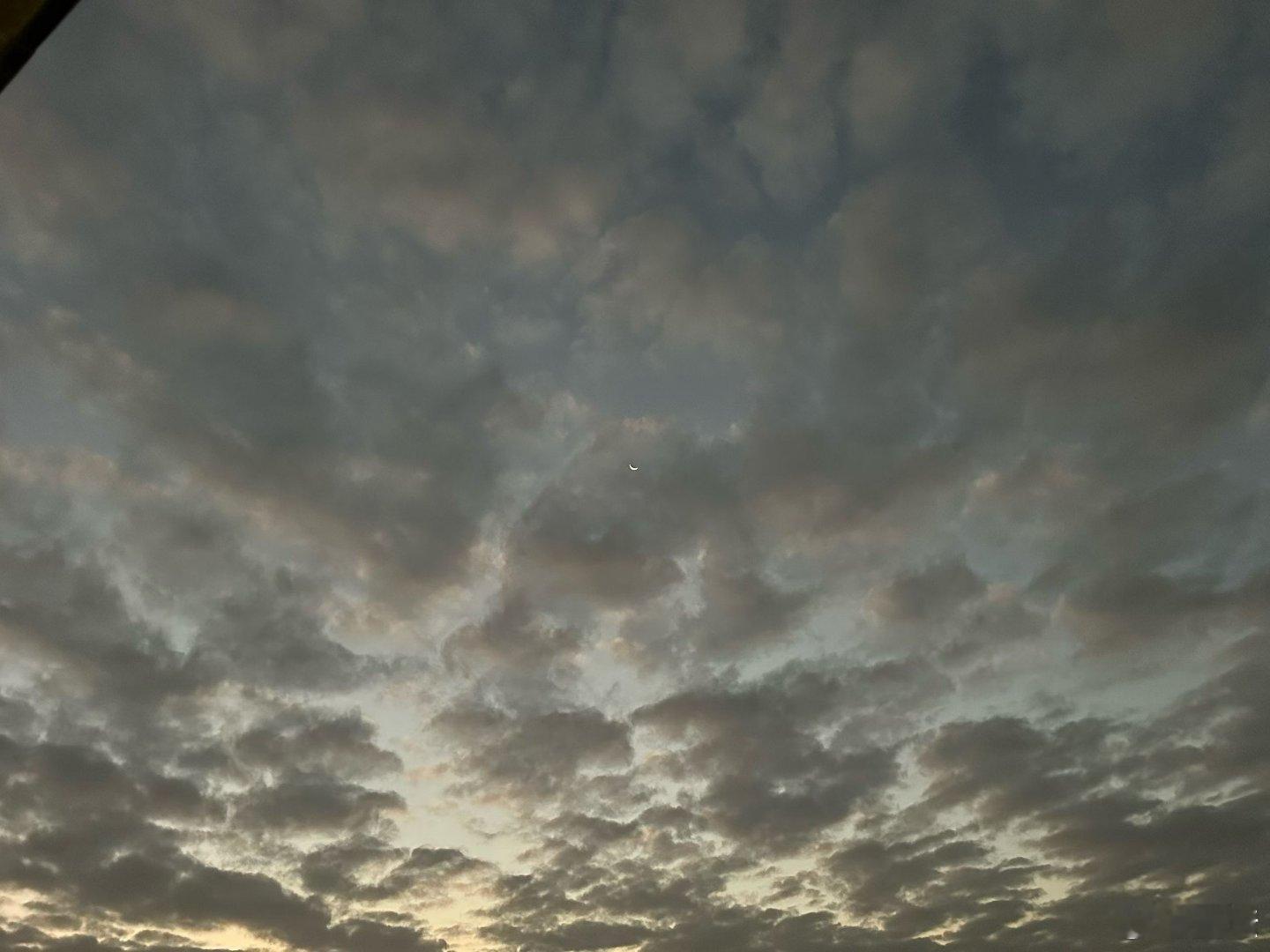 枯坐云游了世尘，龟策泉绸藏于身。朝霞新月同一见，便胜此间无数人。上录云城山人赠有