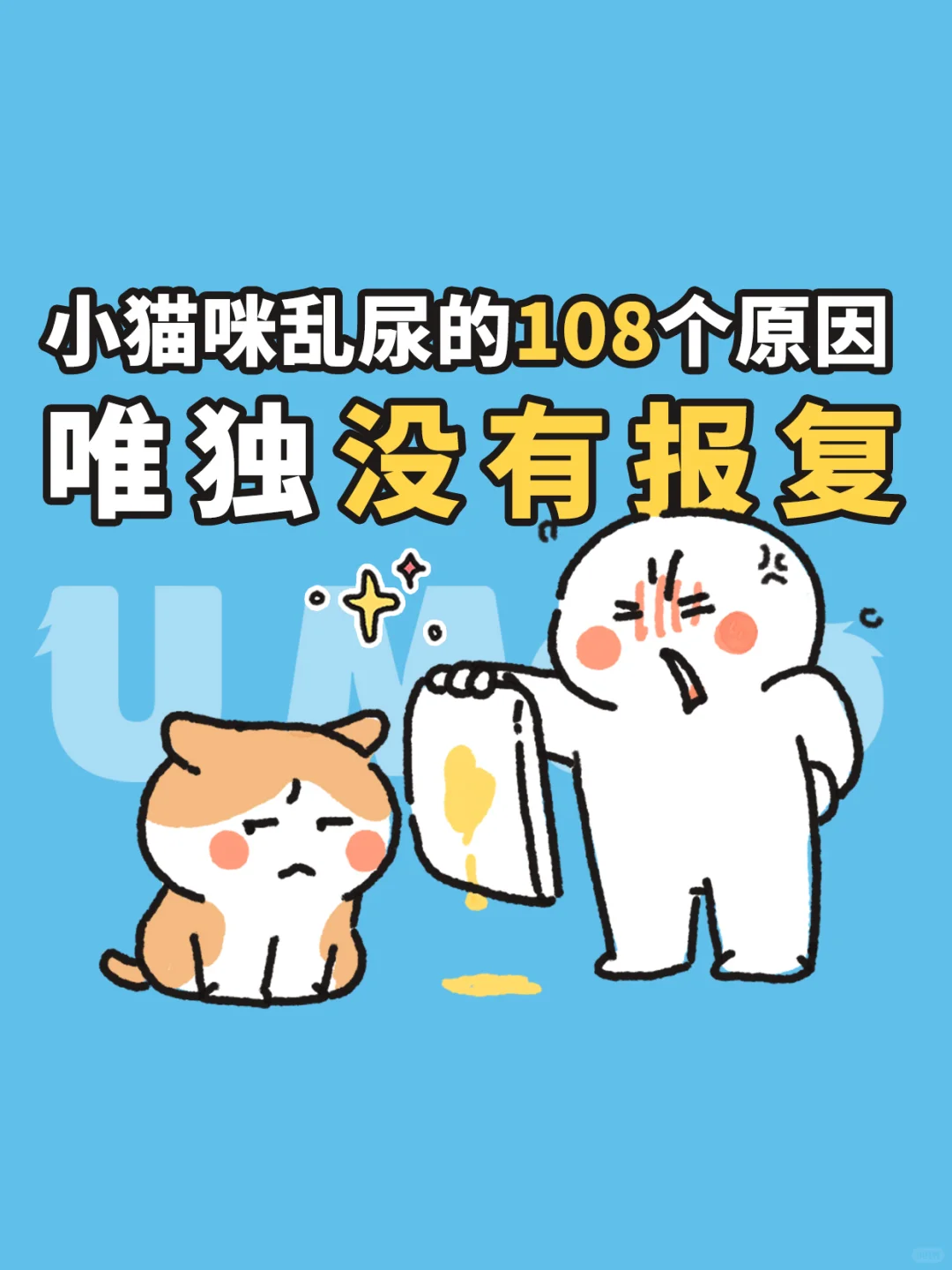 小猫咪乱尿的原因！真的没有报复！