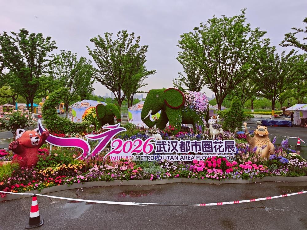 4月29日2026武汉都市圈花展将启，武汉设沙湖公园C区为主展区，中山公园、武汉
