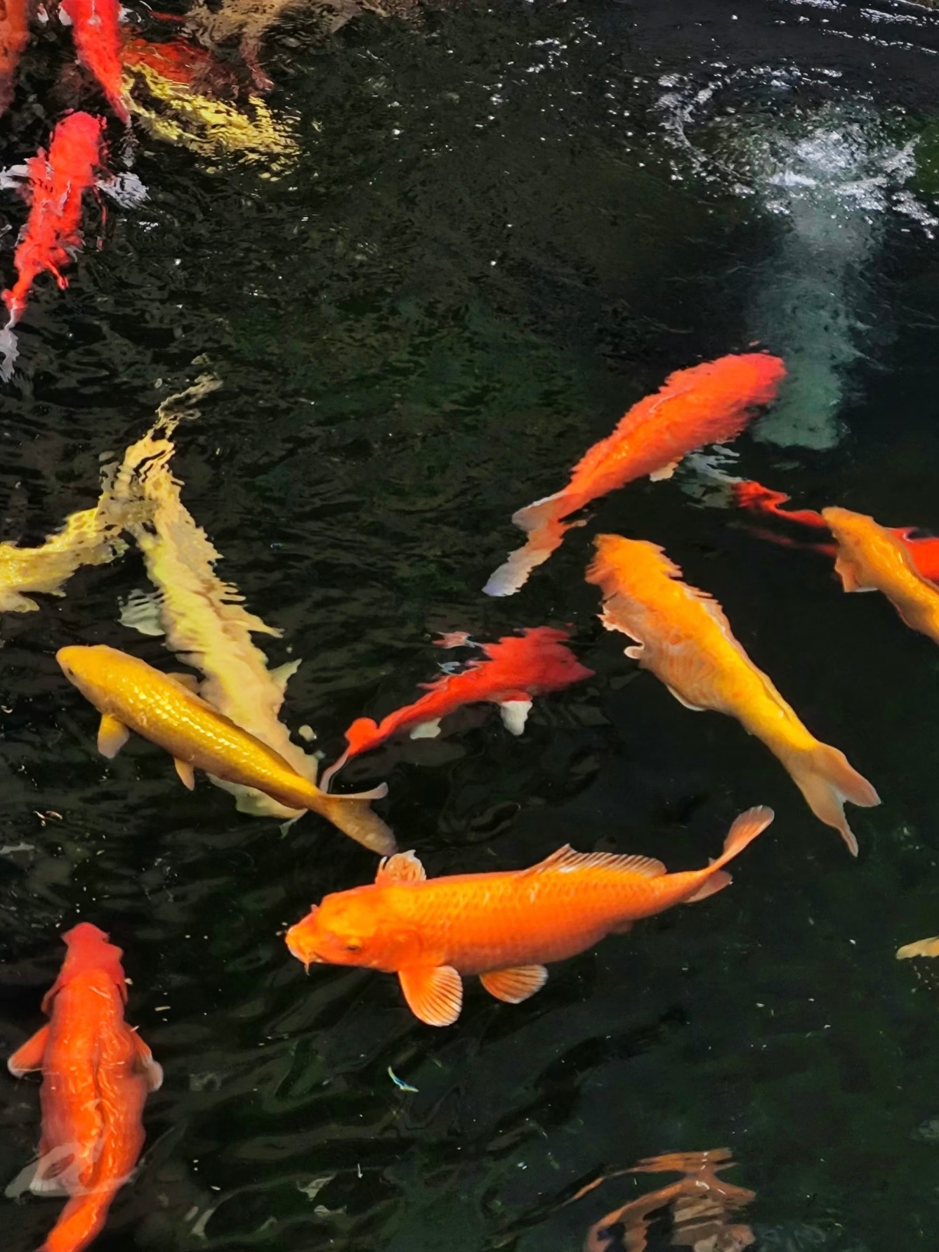 高考成绩🐟接住这尾跃龙门的锦鲤！上岸。刷到这条的你，离上岸只差一个“接”字！✨