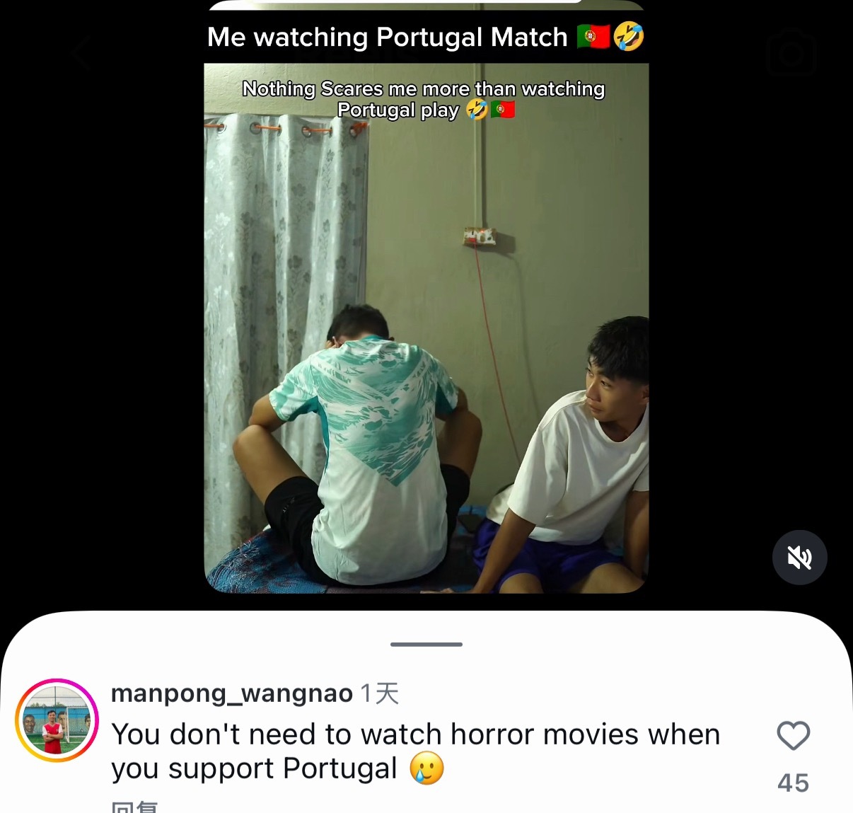 喜欢看恐怖电影就支持葡萄牙 