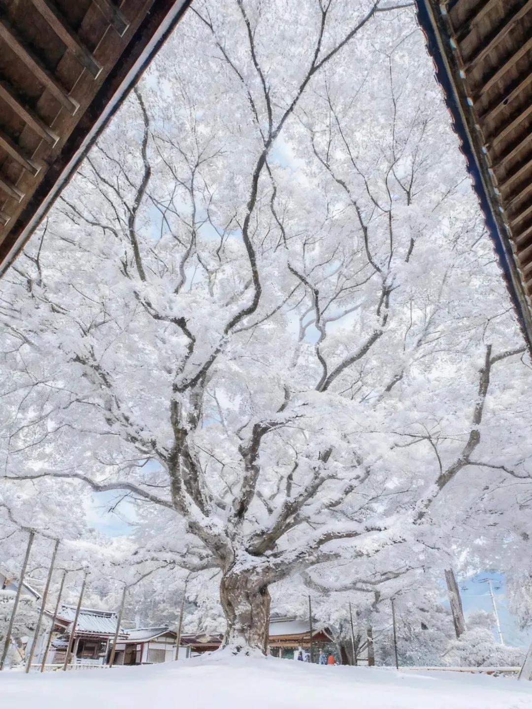 如果你不花时间去创造想要的生活，那就花很多时间应付不想要的生活，成功的路上没有人