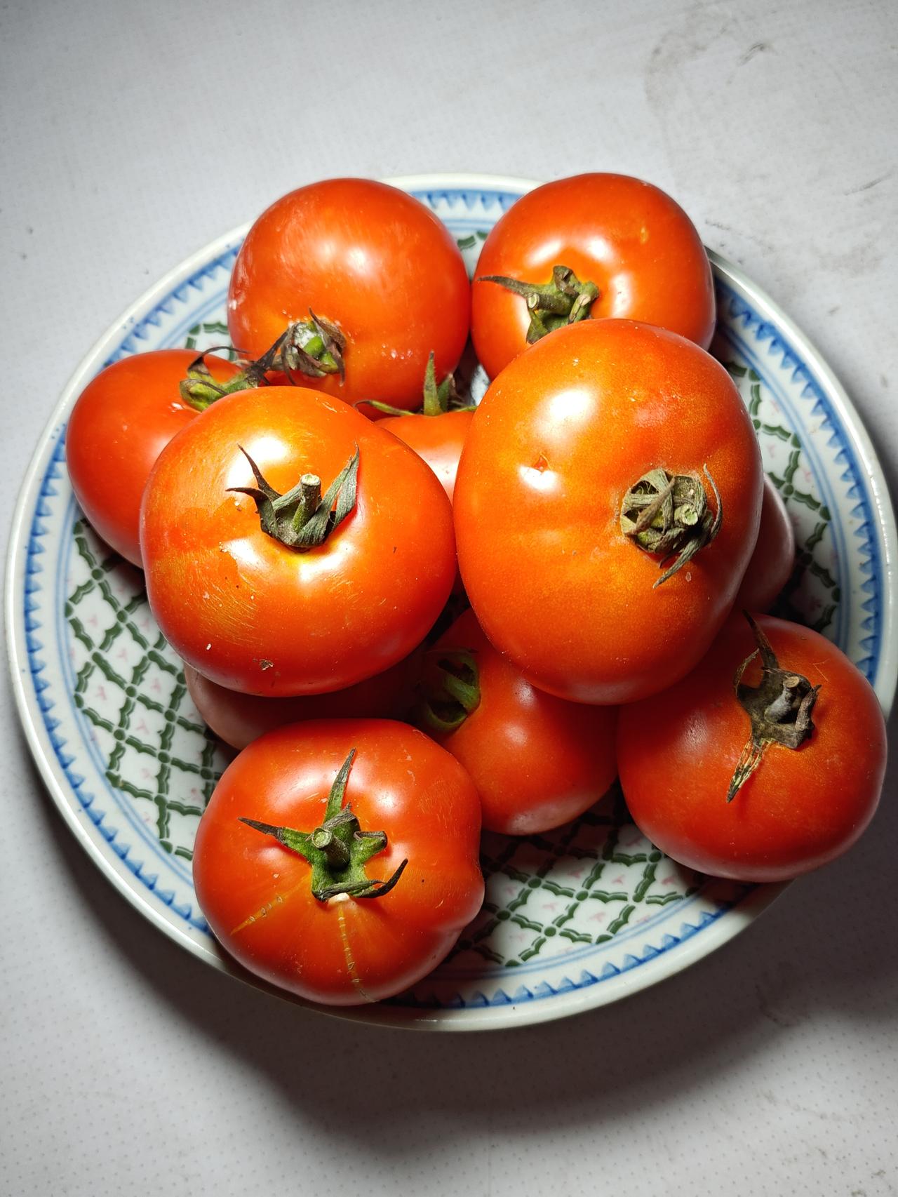 本地番茄补货，5元11个，看本地阿姨的菜档，番茄现在成熟果量很大，一堆红番茄，但