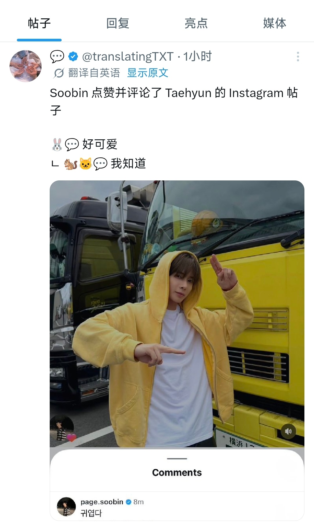 《最肥猫》奶龙大肥猫，你又炫耀泰国猫，感情真是好。 