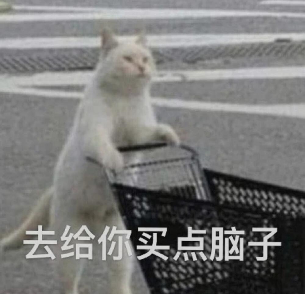 动物的迷惑行为 动物