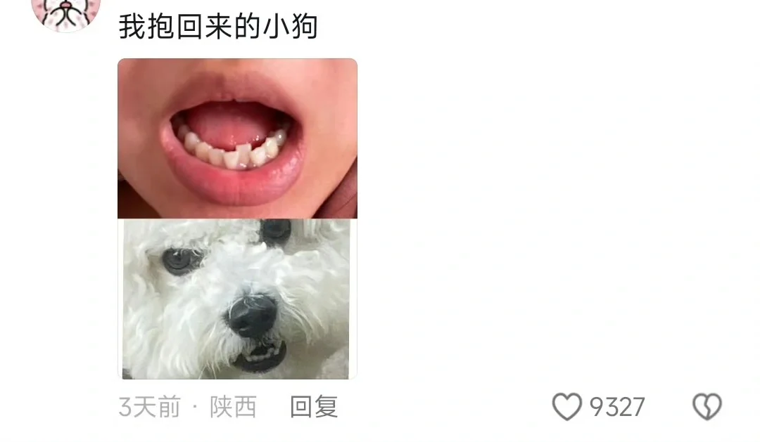 这和自己生的有什么区别！！！